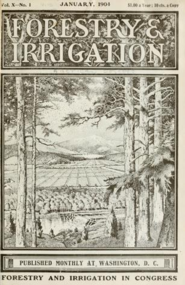 Altes Papier mit der Aufschrift "Forstwirtschaft und Bewässerung, Januar 1904" mit einer Illustration von üppigen, grünen Bäumen in verschiedenen Schattierungen und einem alternden, gelblichen Papiergefühl.