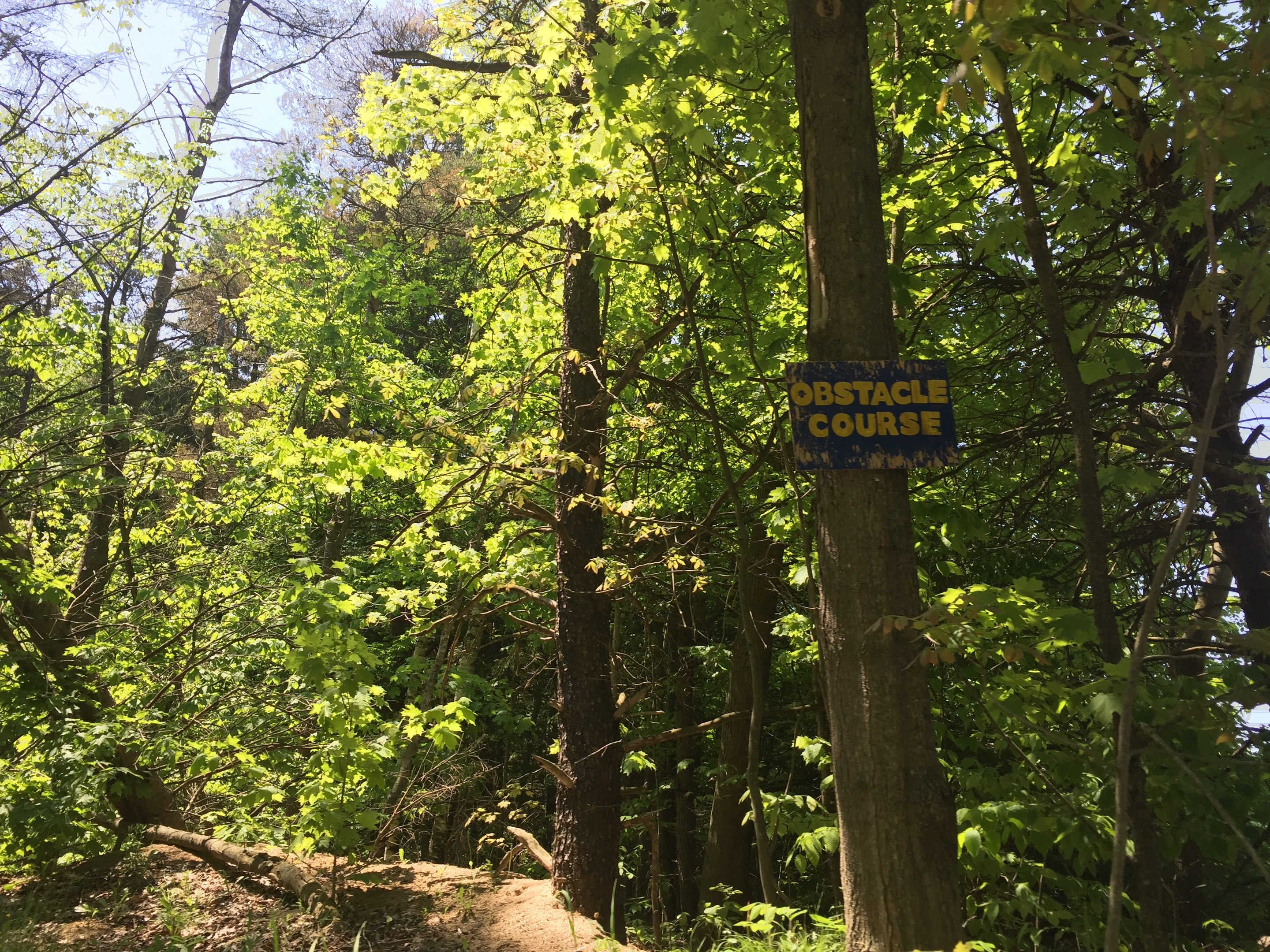 Ein Schotterweg in einem bewaldeten Gebiet, der von einem Schild mit der Aufschrift "Hindernislauf" markiert ist, umgeben von Bäumen auf beiden Seiten und einem sichtbaren Himmel im Hintergrund.