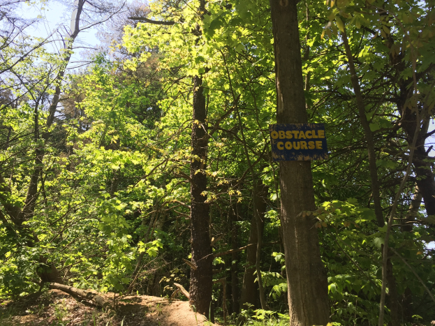 Ein Schotterweg in einem bewaldeten Gebiet, der von einem Schild mit der Aufschrift "Hindernislauf" markiert ist, umgeben von Bäumen auf beiden Seiten und einem sichtbaren Himmel im Hintergrund.