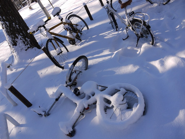 Eine Reihe von Fahrrädern, die teilweise mit Schnee bedeckt sind, neben einem Baumstamm und einer Straße.