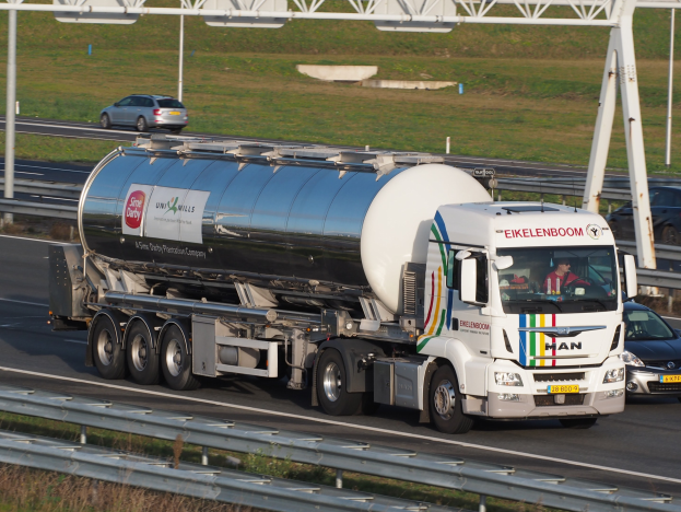 Großer Tanklastwagen auf einer Autobahn neben einem Auto mit sichtbaren Insassen im Truck und Gras, Polen und anderen Gegenständen im Hintergrund.