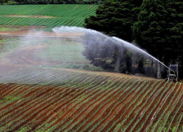 Landwirtschaftliches Feld mit verschiedenen Pflanzen, eine Bewässerungsmaschine im Vordergrund, große Bäume und zusätzliche Kulturen im Hintergrund.