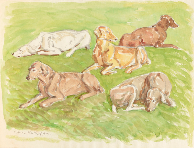 Ein realistisch gemaltes Bild von mehreren Dackeln, die auf einem leuchtend grünen Feld unter einem sonnigen Himmel liegen.