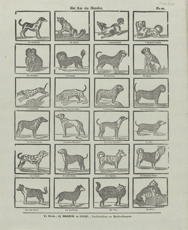 Ein altes Buch, das auf einer Seite mit Abbildungen und Beschreibungen verschiedener Hundewelpen aufgeschlagen ist.