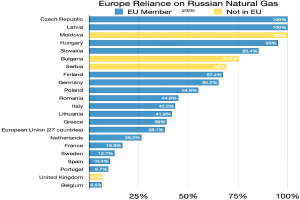 AfD-Abgeordnete verteidigen Teilnahme am St. Petersburg Economic Forum: "West hat Russland zum Feind auserkoren"