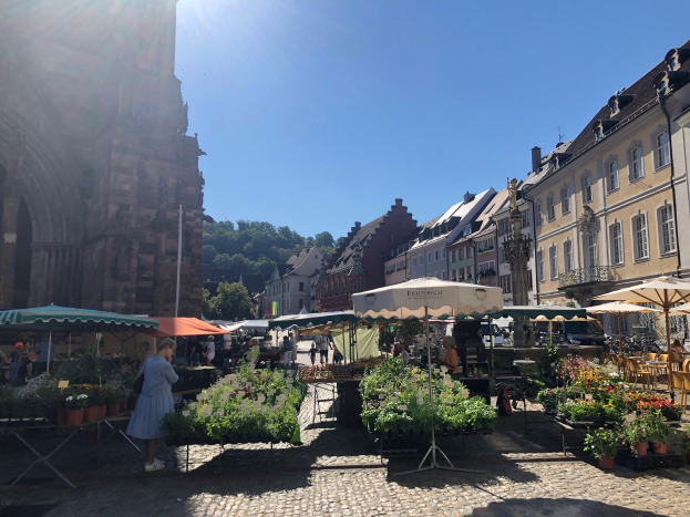 Ein belebter Markt im historischen Zentrum von Heidelberg mit Menschen an Tischen sitzend und stehend, die Blumentöpfe und Schirme halten, vor Gebäuden, Bäumen und einem klaren blauen Himmel.