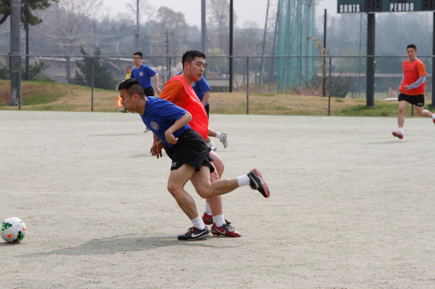 Spieler werden beim Fußballspielen auf einem Feld gezeigt, das von einem Maschendrahtzaun umgeben ist, mit Bäumen, Leitern und Strommasten auf der anderen Seite.