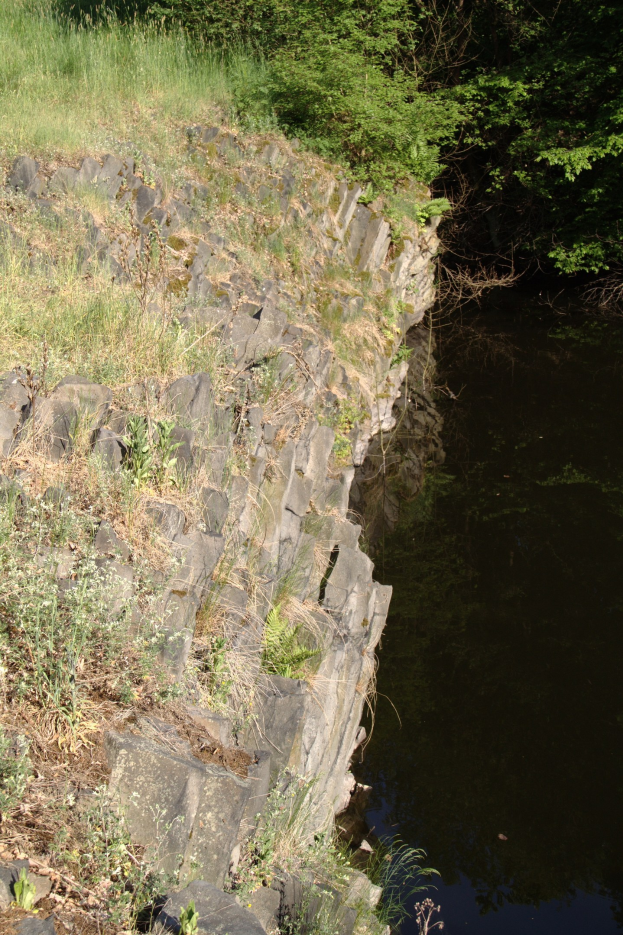 Ein kleiner, klarer Bach spiegelt umliegende Bäume und saftiges Grün am Ufer eines Flusses.