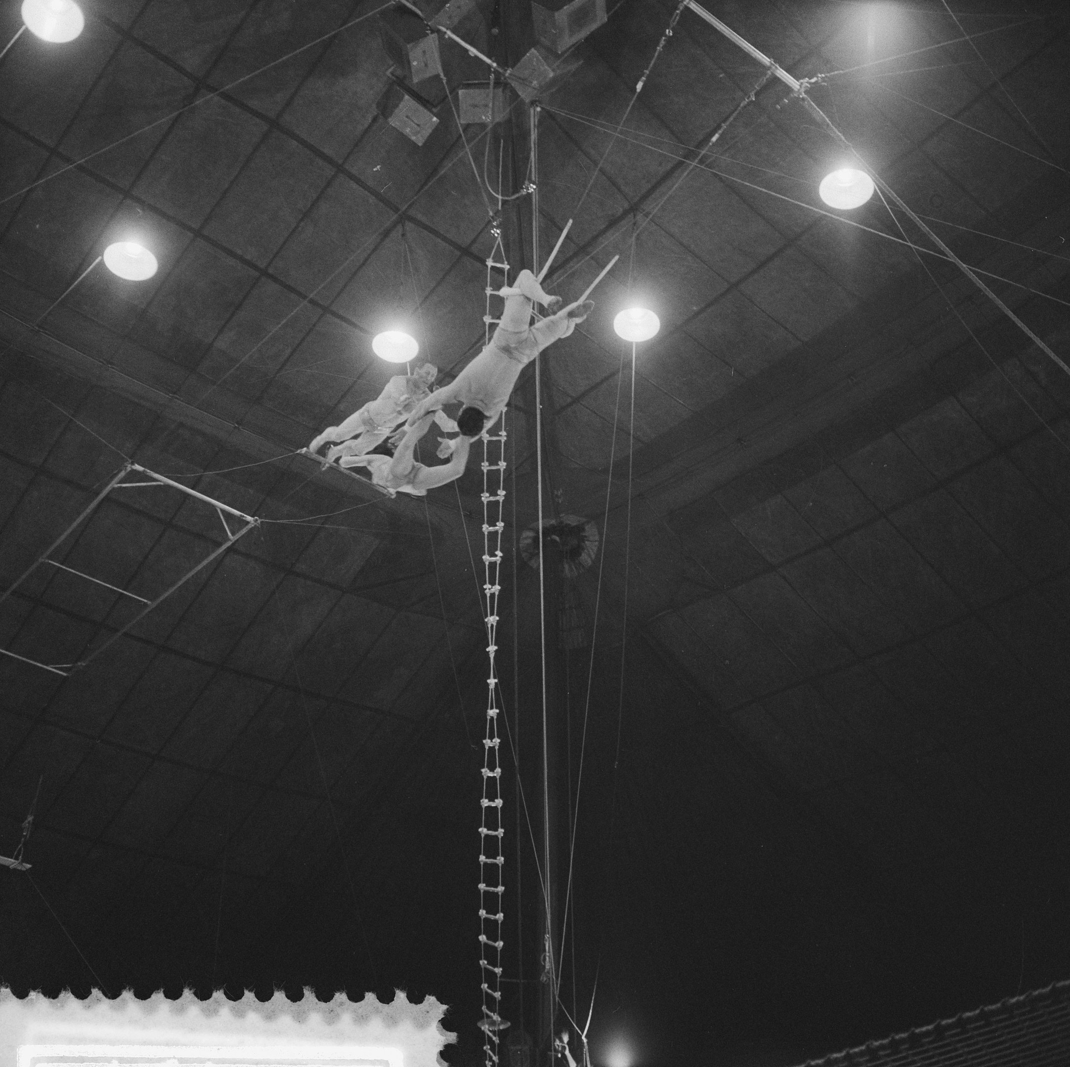 Schwarzes und weißes Foto von zwei Akrobaten, die an einem Trapez in einem Zirkus auftreten, mit Zuschauern und Deckenlampen.
