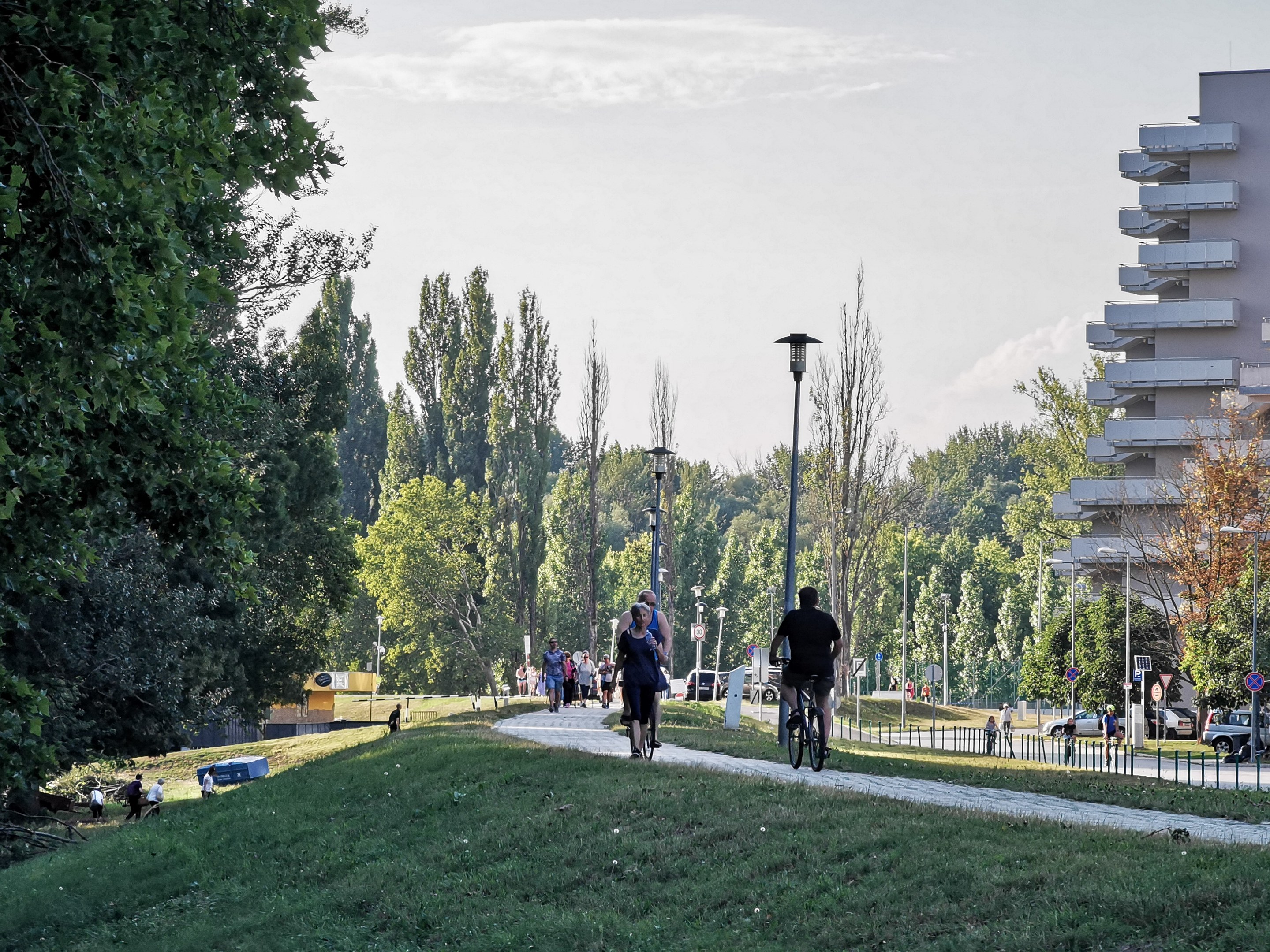 Eine Gruppe von Menschen, die auf Fahrrädern eine Parkweg entlangfahren, mit Bäumen, Straßenlaternen, Schildern, Kraftfahrzeugen, Absperrpollern, Gebäuden und einem bewölkten Himmel im Hintergrund.