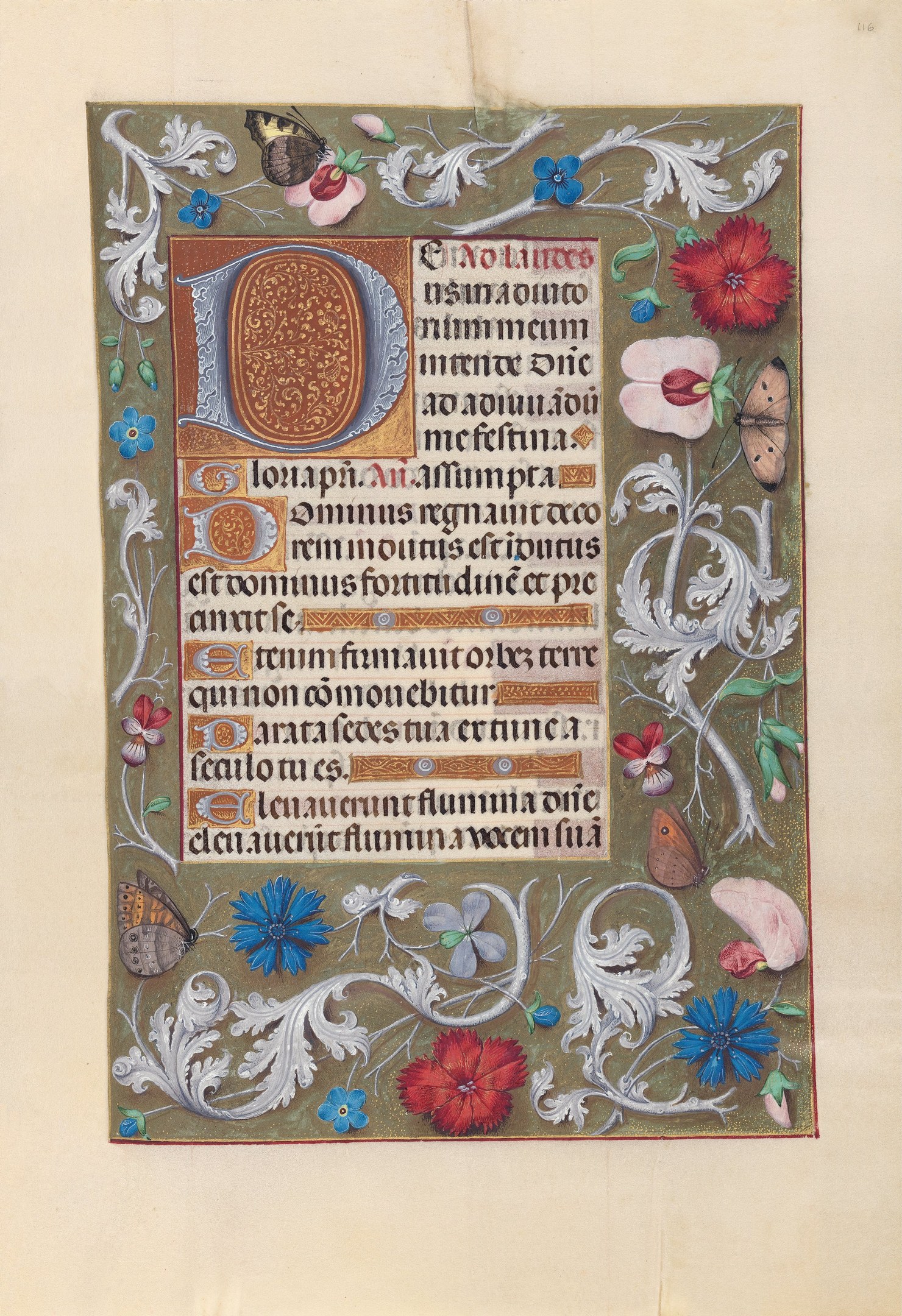 Illuminierte Handschriftenseite mit symmetrischem floralem Design, das Blumen und Schmetterlinge zeigt, detailliert, farbenfroh und kalligraphische Texte.