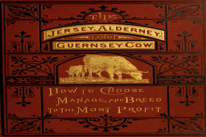 Ein Buch mit dem Titel "Die Jersey-, Alderney- und Guernsey-Kuh: Wie man auswählt, verwaltet und züchtet, um den größten Profit zu erzielen" mit einer Kuh auf dem Cover.