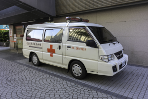 Schwerer Unfall in Lebenstedt: Ersthelfer retten Eingeklemmte