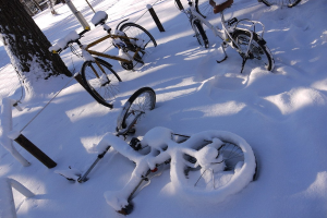 Eine dichte Ansammlung von Fahrrädern, teilweise im Schnee vergraben, mit einem Baumstamm und einer Straße daneben.