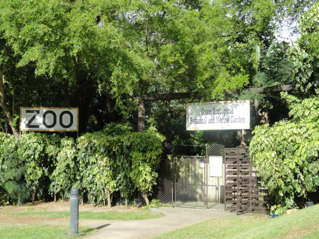 Einfahrt in einen Zoo mit einem "Zoo"-Schild, umgeben von saftigem Gras, hohen Bäumen, einem hellblauen Himmel, einem Pfahl im Vordergrund und einem Maschendrahtzaun im Hintergrund.