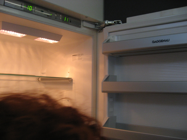 Eine Person mit Haaren im Vordergrund und einem offenen Kühlschrank im Hintergrund.
